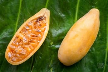 Flower Seeds, Seeds for Planting, Plant Seeds