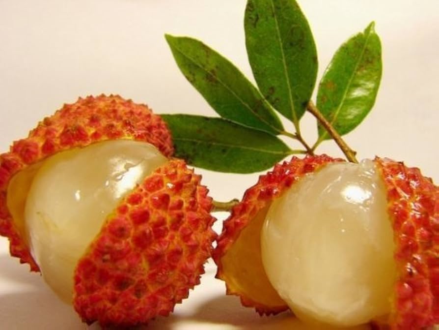 Orange Litchi Fruit Seeds for Planting – Rich in Sweetness,Ideal for Home Garden, Heirloom Seeds