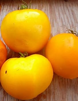 Heirloom Deep Yellow Tomato Seeds