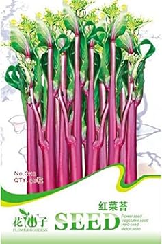 Vegetable Seeds, Seeds for Planting, Plant Seeds