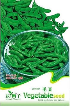 buy soybean seeds for planting Garden Soy Vegetable Soybeans 100 Seeds