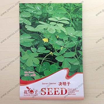 Flower Seeds, Seeds for Planting, Plant Seeds