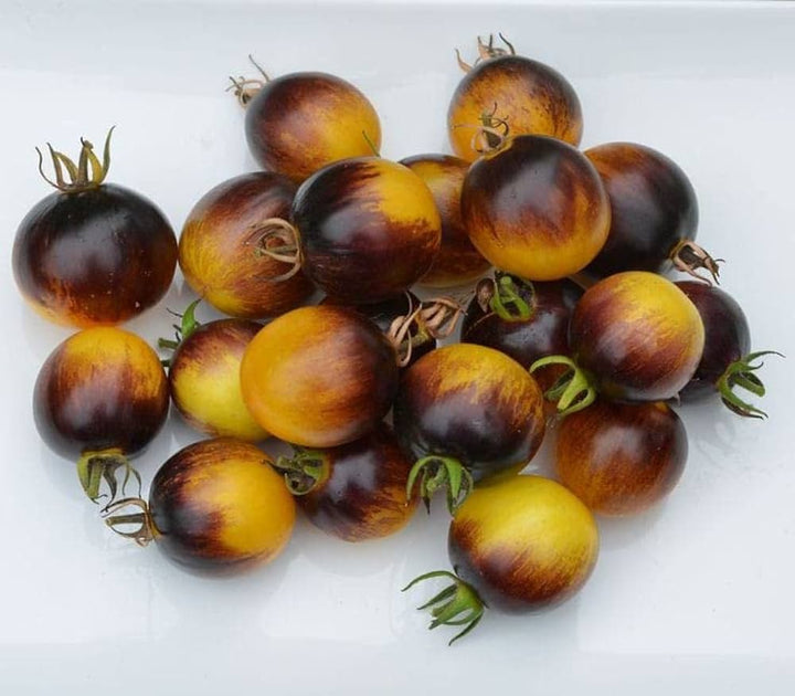 Brown Yellow Tomato Seeds for Planting – Heirloom, Non-GMO, Fresh & Flavorful Tomatoes