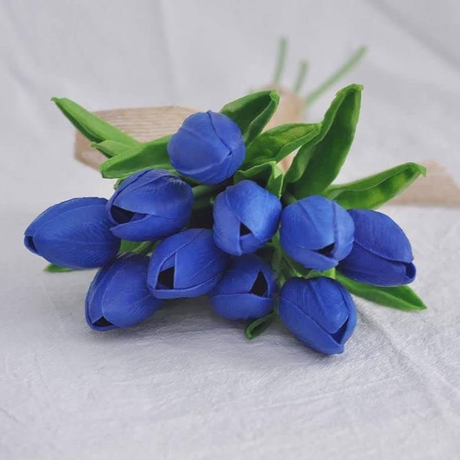 Deep Blue Tulip Flower Seeds - 100 pcs