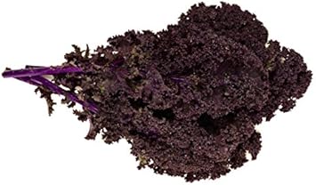 Red Veins Scarlet Kale Seeds for Planting