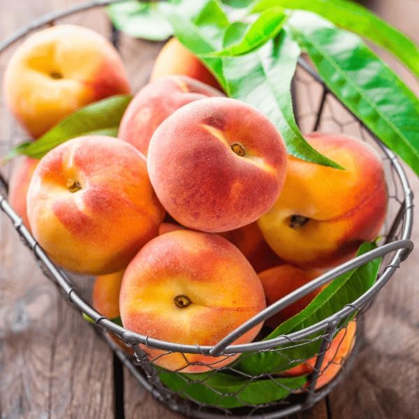 Nemaguard Peach Fruit Tree Seeds for Planting - Outdoor- Perennial Non GMO Fruit Seeds  - Rare and Unique Fruits for Nature Lovers