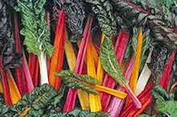 Mixed Swiss Chard Vegetable Seeds for Planting