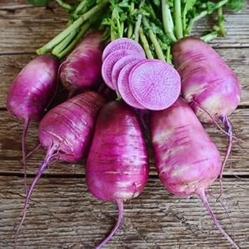 Heirloom Purple Radish Seeds