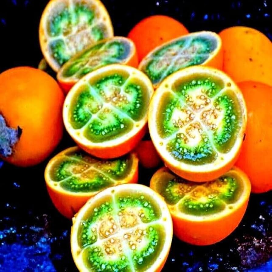 lulo fruit flower seeds