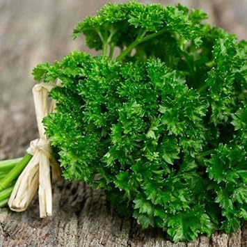 Flower Seeds, Seeds for Planting, Plant Seeds