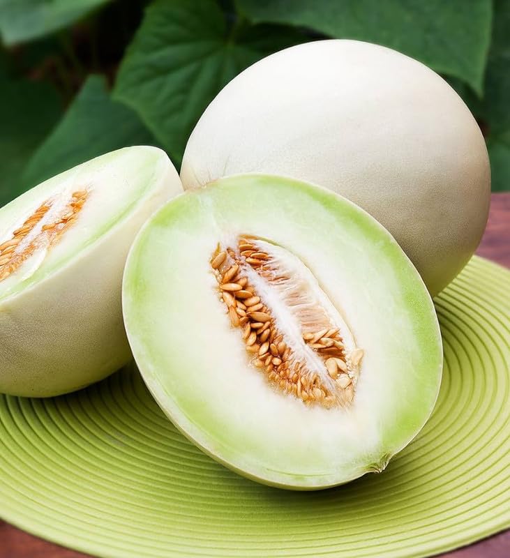 White Cantaloupe Melon Seeds for Planting – Premium Quality for Juicy & Sweet Melons