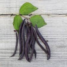 Cowpea Vegetable Seeds for Planting