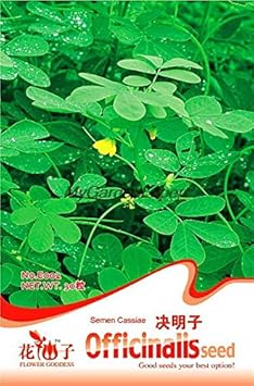 Flower Seeds, Seeds for Planting, Plant Seeds