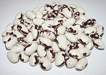 Black White Bean Seeds for Planting