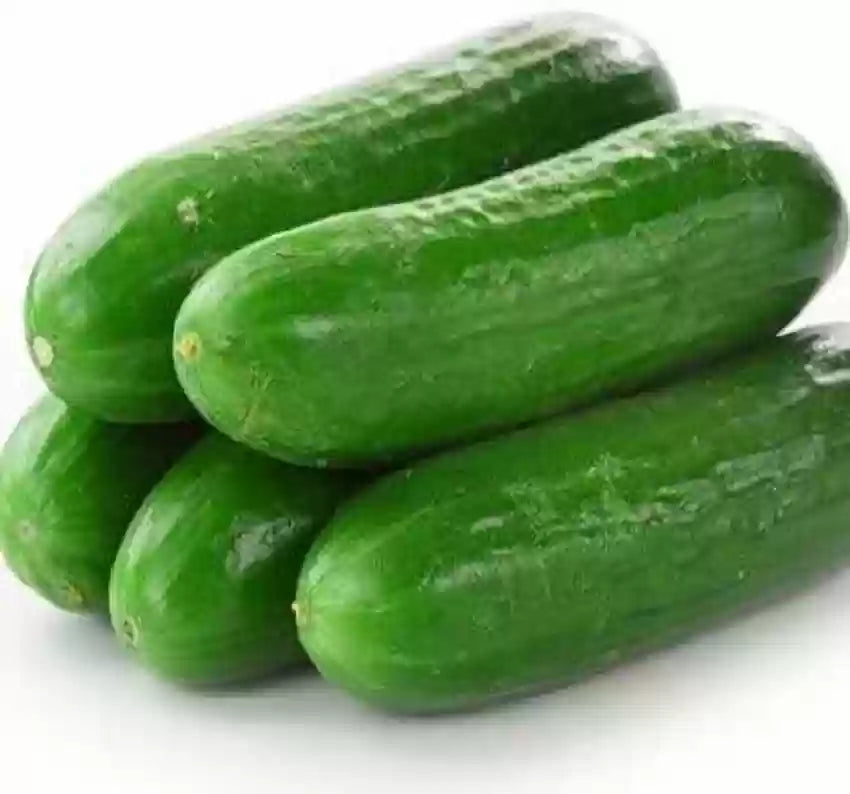 Cucumber School Baby F1 Seeds, Cucumis sativus, Organic Vegetable Seeds for Planting