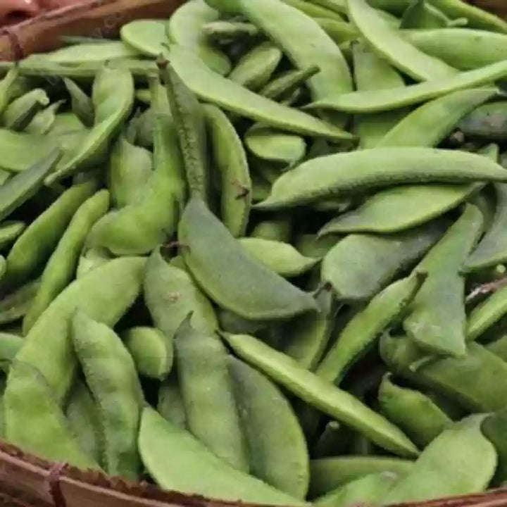 Runner Bean Grøntsagsfrø til udplantning, 100 stk