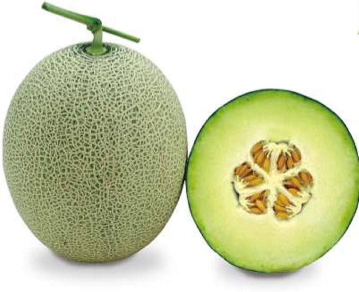 Green Muskmelon Fruit Seeds for Planting - Sweet Melons for Your Home Garden, Heirloom & GMO Free Seeds