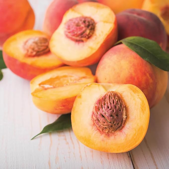 Nemaguard Peach Fruit Tree Seeds for Planting - Outdoor- Perennial Non GMO Fruit Seeds  - Rare and Unique Fruits for Nature Lovers