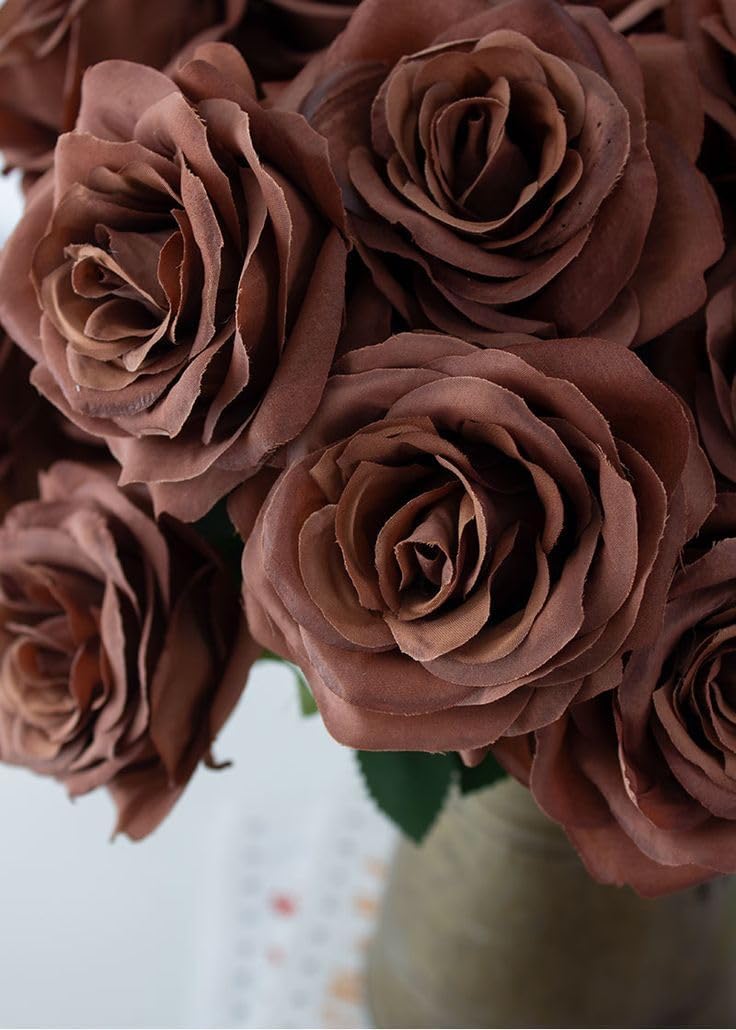 where to buy rose seeds Chocolate Rose Flower Seeds for Planting