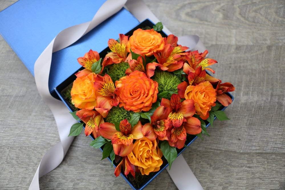 eustoma flower seeds Orange Eustoma (Lisianthus) Flower Seeds for Planting – Heirloom, Non- – Neeraseeds