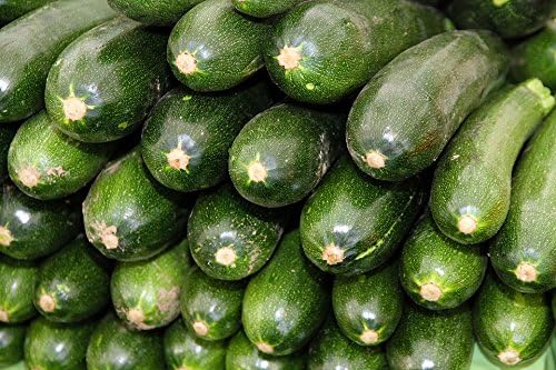 Zucchini Black Beauty Seeds – High Yield, Fast-Growing Summer Squash for Home Garden