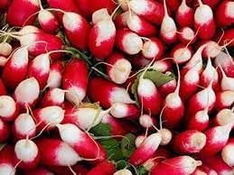 French Breakfast Radish Seeds for Planting