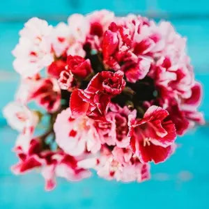 double mix flower seeds