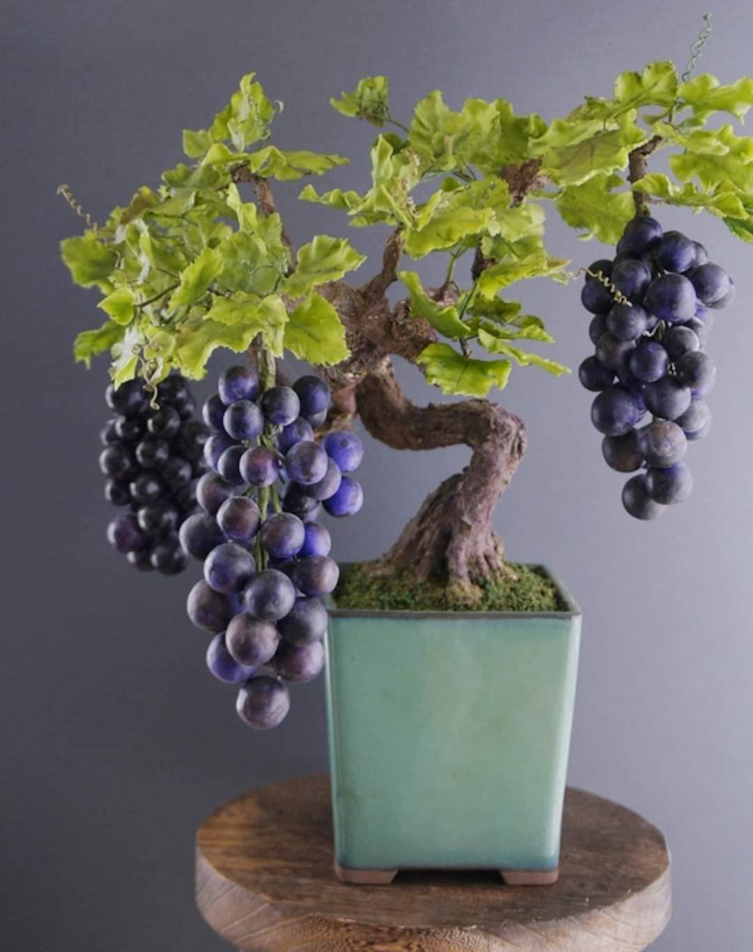 Sorte drue bonsai frø - et fantastisk miniature frugttræ til indendørs rum 100 stk.