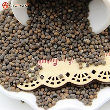 Flower Seeds, Seeds for Planting, Plant Seeds