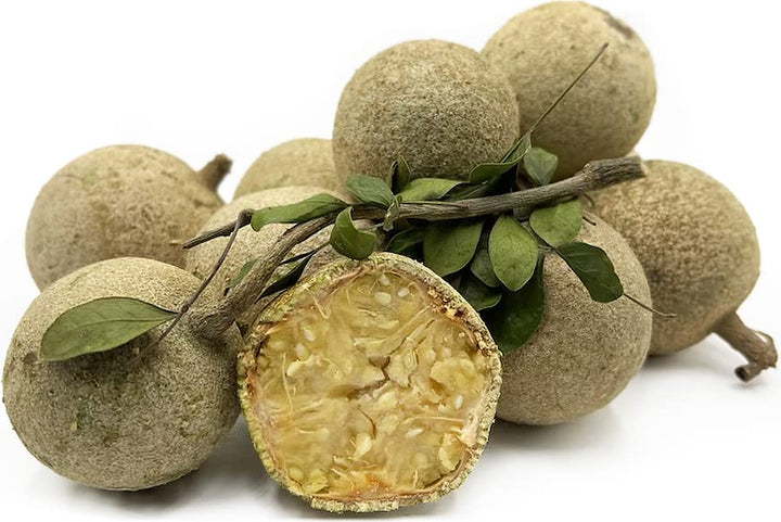 Wood Apple Fruit Seeds for Planting – Heirloom Non-GMO Tropical Tree Seeds
