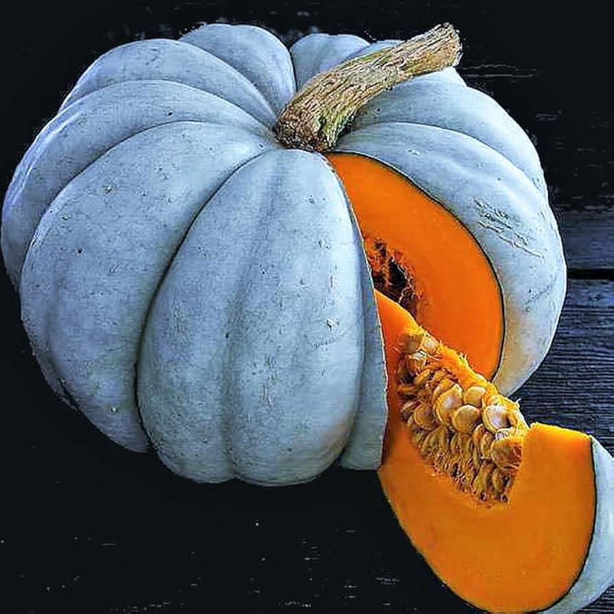 Blue Doll Pumpkin Planting Jarradale Queensland Cinderella Doll Heirloom Non Gmo Flower Seeds