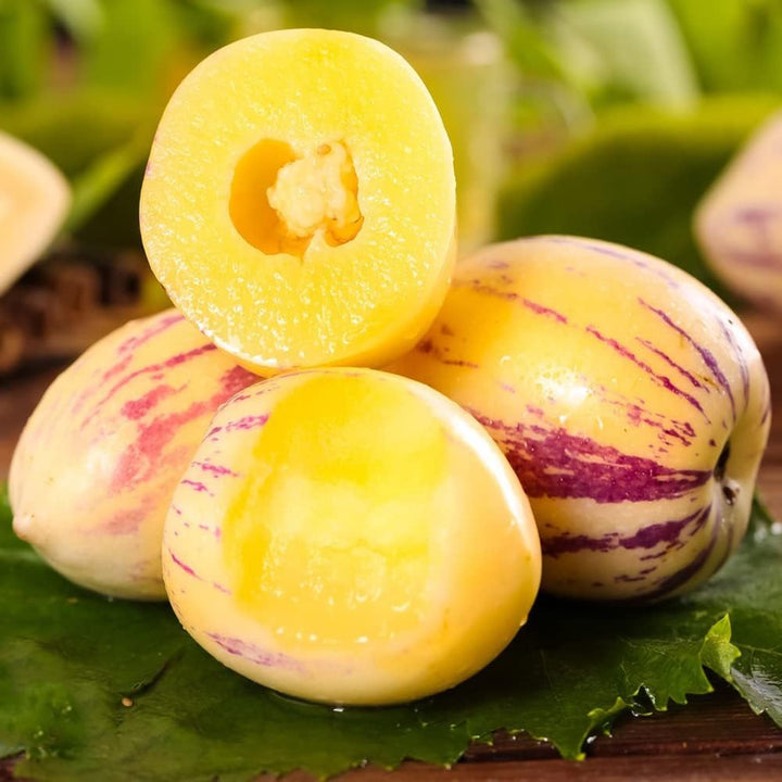 Sugar Gold Pepino Melon Fruit Seeds for  Planting - Sweet Tropical Treats, Heirloom and GMO Free Seeds for your Home Garden