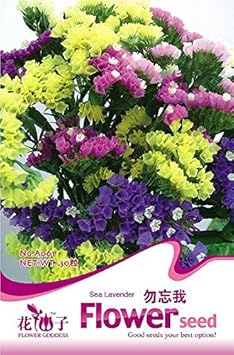 Flower Seeds, Seeds for Planting, Plant Seeds