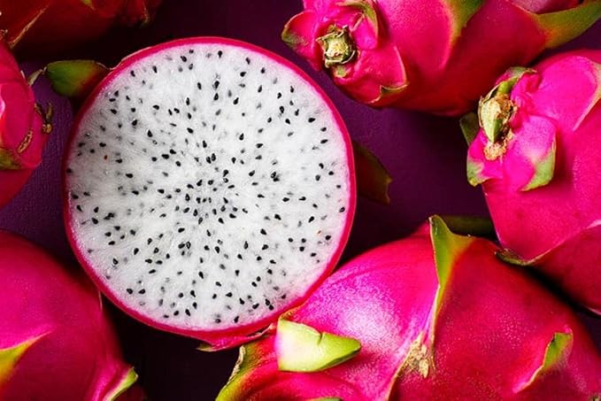 White Flesh Dragon Fruit Seeds – Non-GMO, Heirloom, for Garden Planting