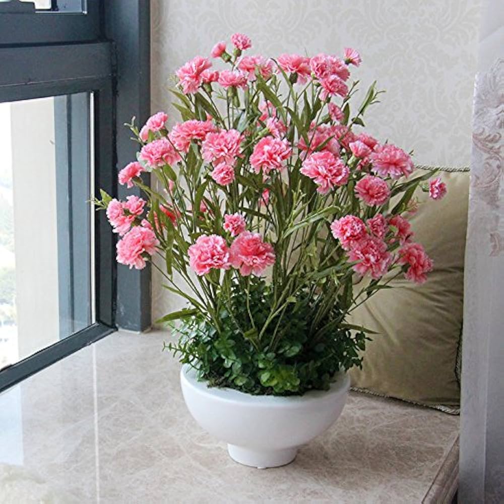 Pink Carnation Dianthus Caryophyllus Planting Flower Bed Yard Flower Seeds Home Garden
