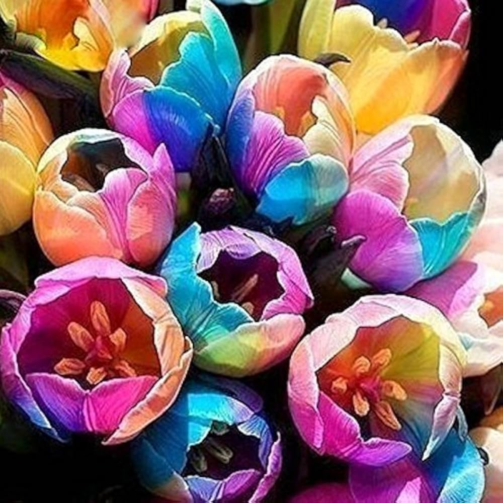Rainbow Tulip Flower Seeds – Heirloom, Non-GMO Bulb Seeds for Planting, High Germination Organic Seeds