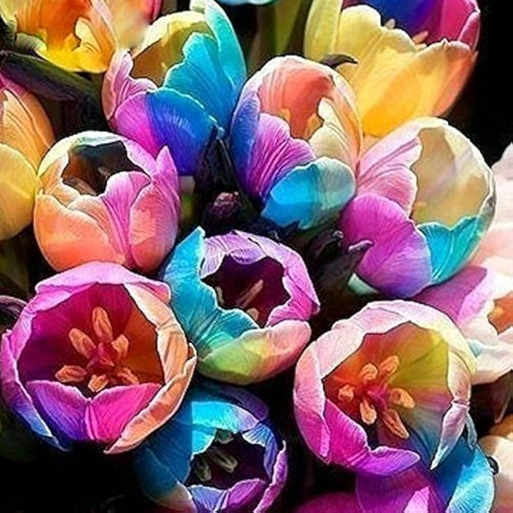 Rainbow Tulip Flower Seeds – Heirloom, Non-GMO Bulb Seeds for Planting, High Germination Organic Seeds