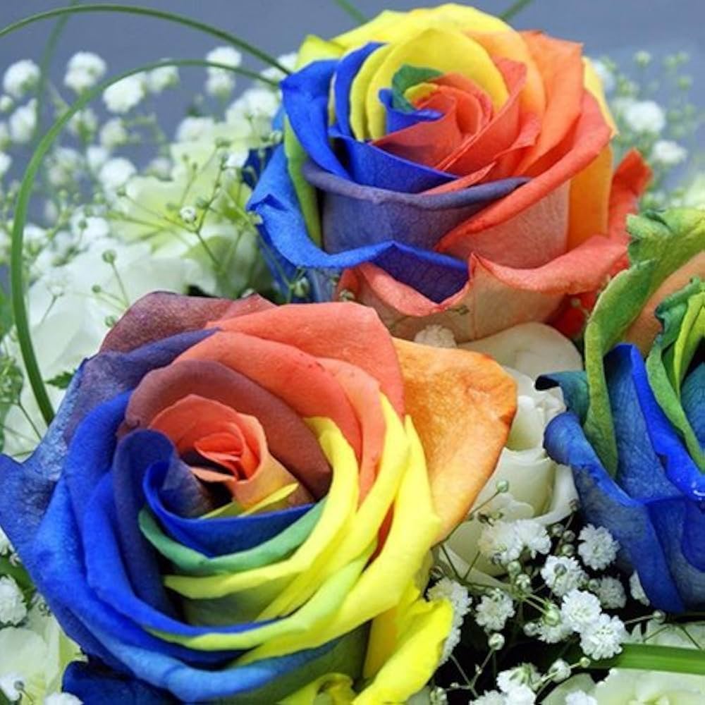 colorful rainbow flower seeds