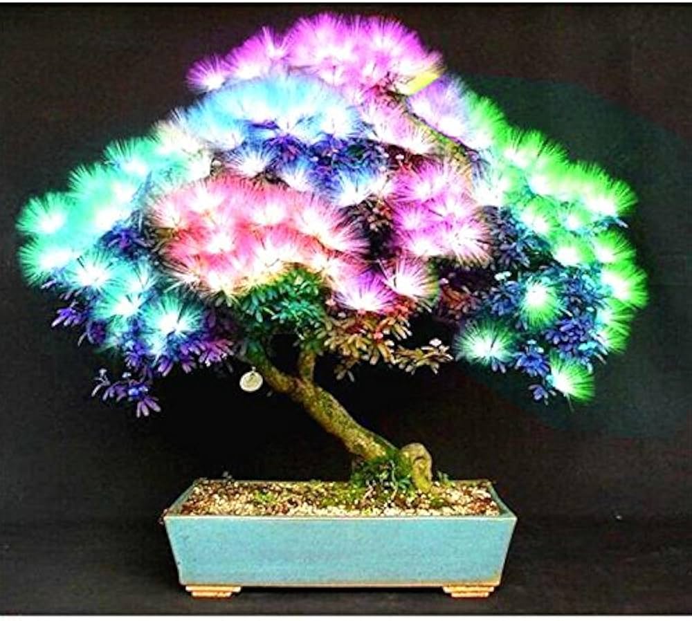 Fresh Albizia Flower Seeds for Planting, Mixed Colour 100 pcs