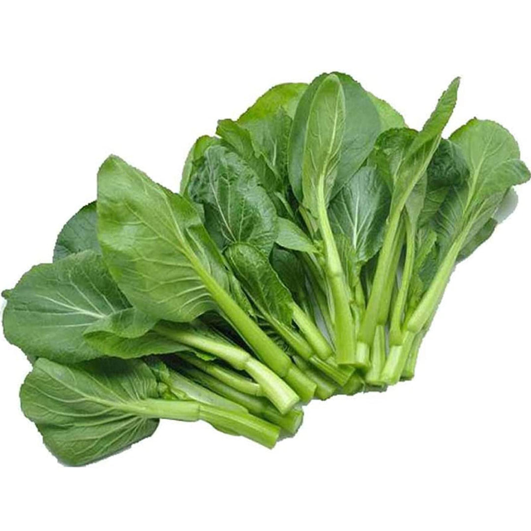 Green Choy Sum Seeds for Planting - Fresh Vegetable 100 pcs