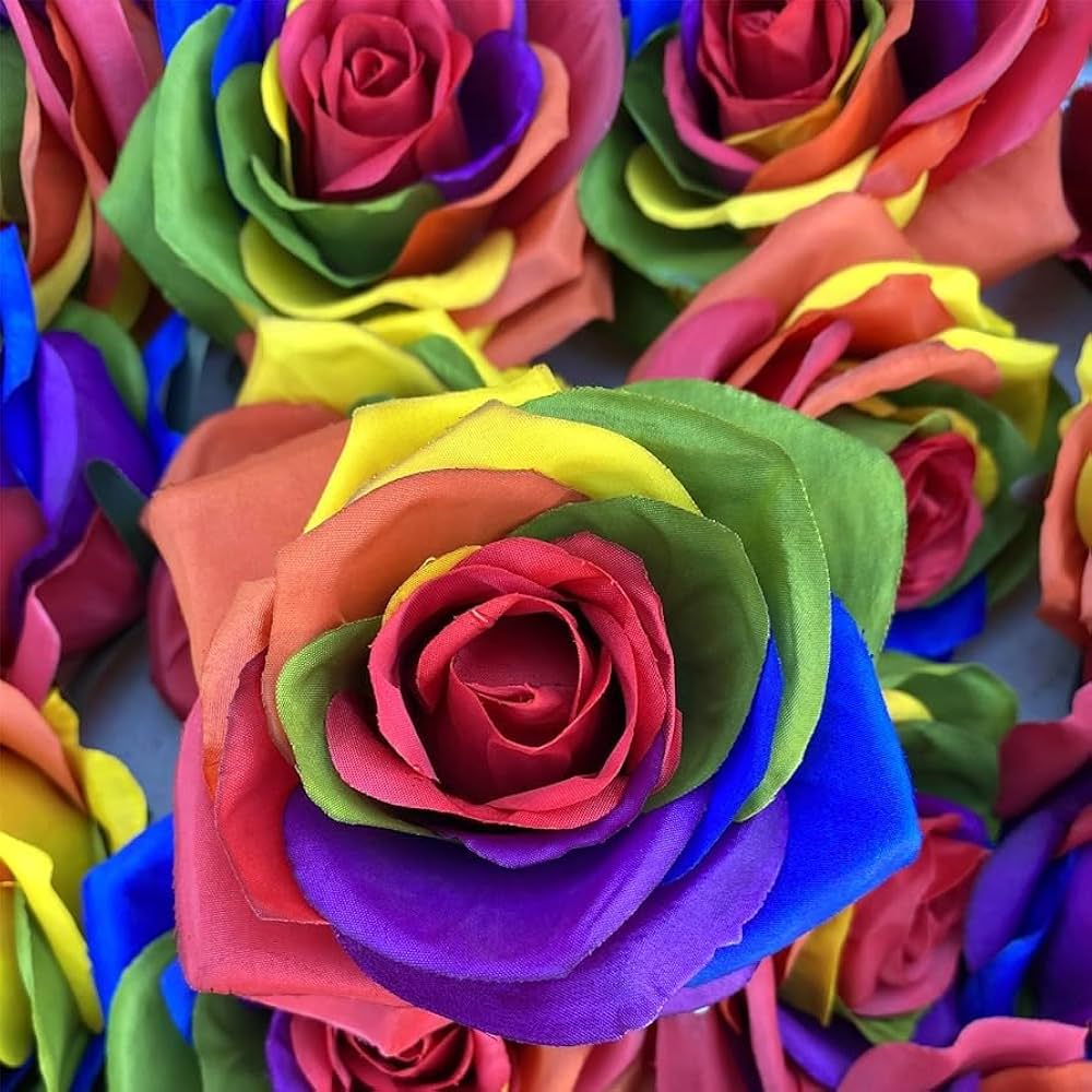 rainbow rose flower seeds