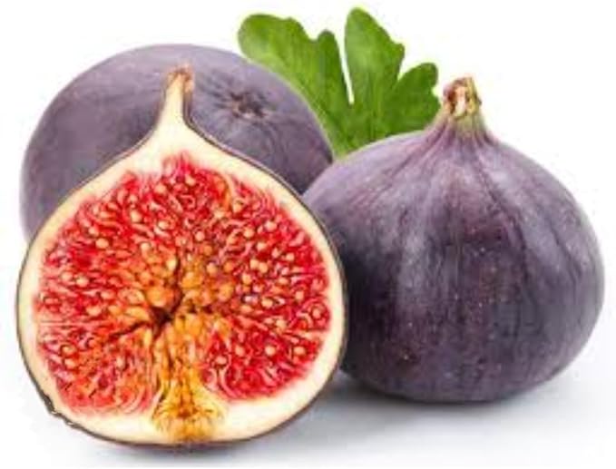 Fig Tree Seeds Black Sweet Fruit Shrub Bonsai for Growing Sweet, Mediterranean Figs, Heirloom Fig Seeds