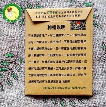 Flower Seeds, Seeds for Planting, Plant Seeds