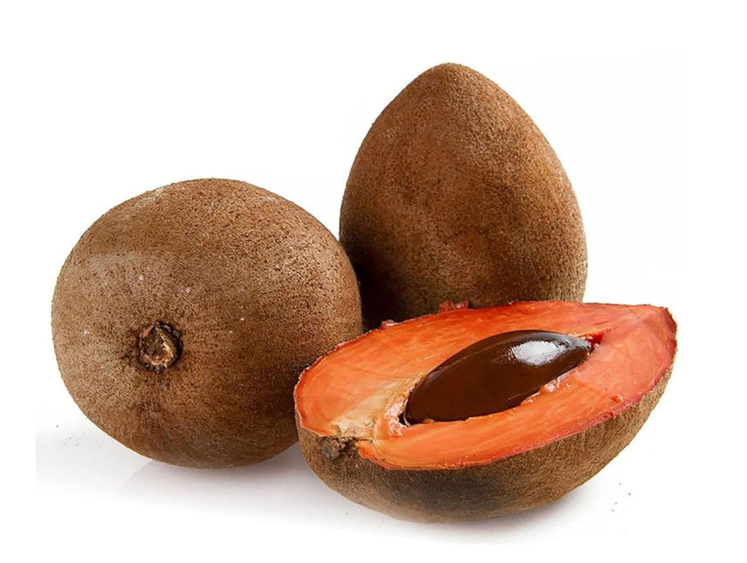 Sapote Seeds for Creamy, Sweet Tropical Fruits  100 pcs