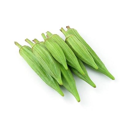 Okra Clemson Spineless Seeds for Planting – High Yield, Fast-Growing, Heirloom Vegetable Seeds