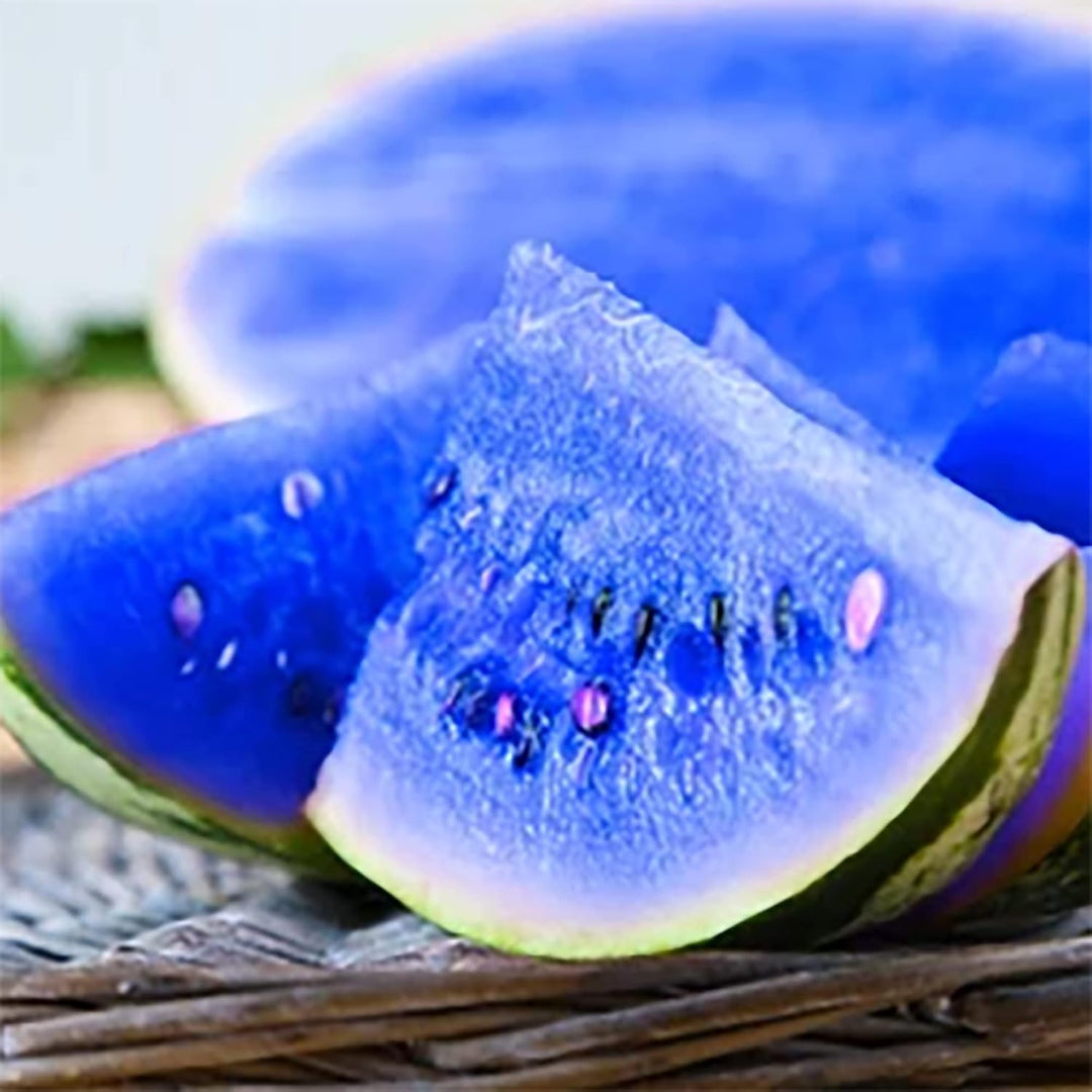 Dark Blue Watermelon Fruit Seed for Planting - Heirloom & Non-GMO Seeds for Planting