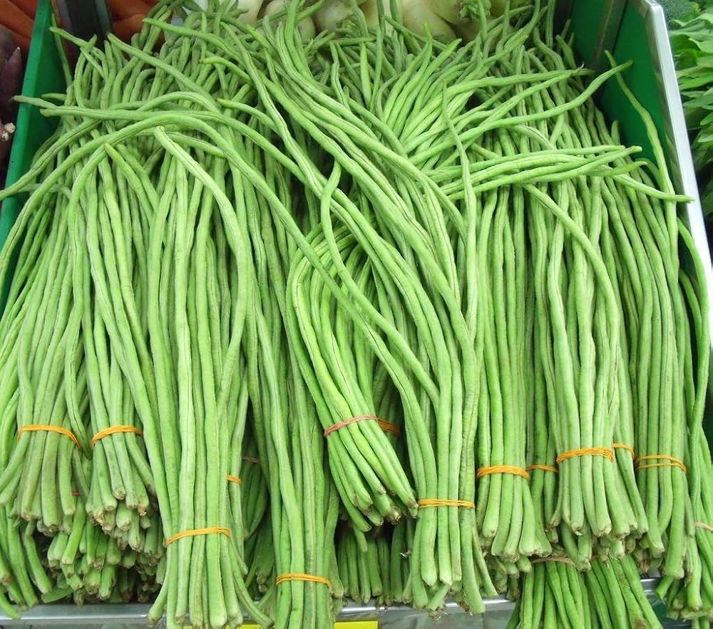 snake bean flower seeds