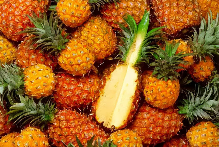 Ananas orange frugtfrø til plantning - 100 frø