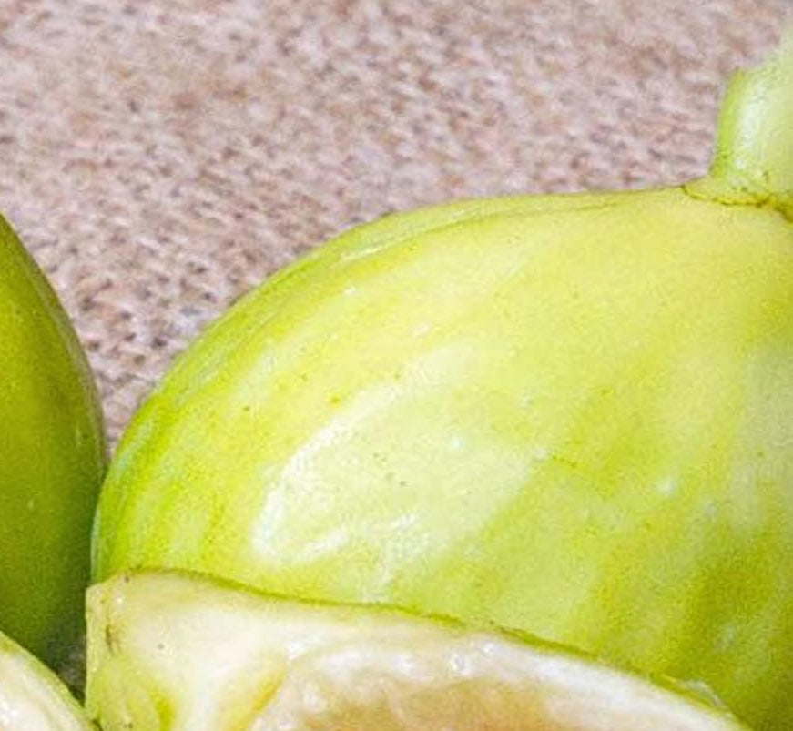 Kadota Fig Seeds for Planting – Heirloom, Non-GMO Fruit Seeds