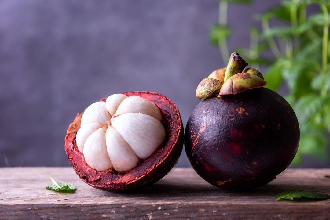 plant mangosteen seed Black Mission Fig Seeds – Heirloom Non-GMO Fruit Seeds for Garden Planting 100 pcs